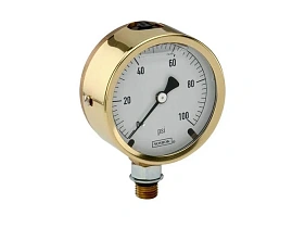 NOSHOK 25-300-SST-160-psi/kg/cm2