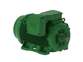 WEG Electric 25018EG3G449T-W22