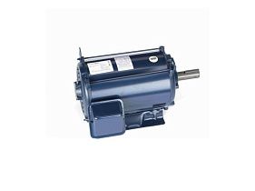 Marathon Electric E1009