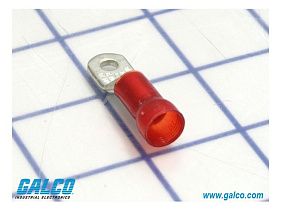 Catamount, a T & B Brand RD167