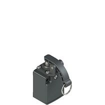 Концевой выключатель FC 376 от PIZZATO