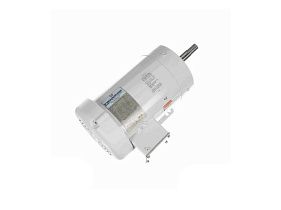 Marathon Electric N203A