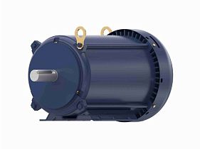 Marathon Electric 213TTFBD6027