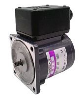 Трехфазный индукционный мотор SPG S8I25GT-TCE 25Вт 1350/1600 об/мин