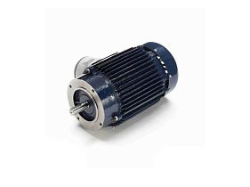 Marathon Electric 145TTGN16036