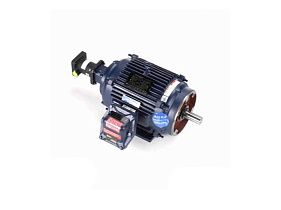 Marathon Electric 213THES8053