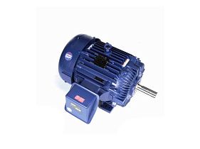 Marathon Electric W600