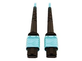 Tripp-Lite N846D-10M-24AAQ