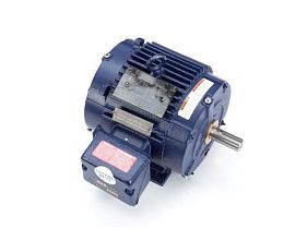 Marathon Electric W517