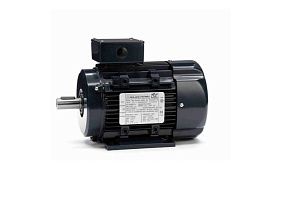 Marathon Electric R319