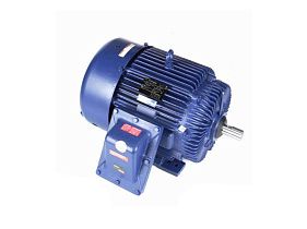 Marathon Electric 324TSTGS6501