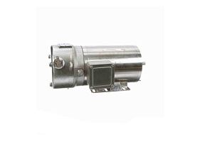 Marathon Electric N388A