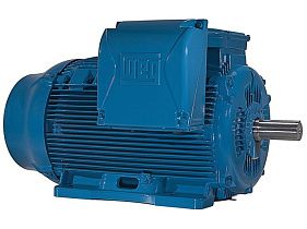 WEG Electric 07509ET3GKD444T-W22