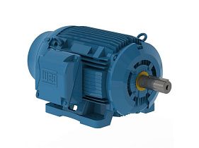 WEG Electric 10018ST3QIERB405T-W2