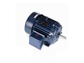 Marathon Electric E207