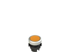 Pizzato E2 1PL2R8290