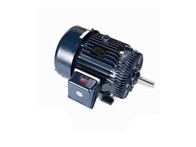 Marathon Electric E209-P