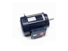 Marathon Electric 213TBFW7010