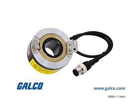 Autonics E80H30-60-3-V-24-C