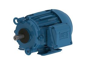 WEG Electric 00118ET3PCT143T-W22