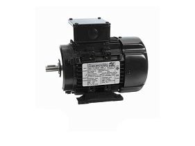 Marathon Electric R302