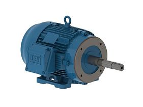 WEG Electric 01018ET3V215JP-W22