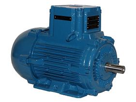 WEG Electric E00112XP3WAX90LF3-W