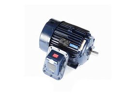 Marathon Electric 284TSTGN16531