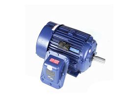 Marathon Electric 284TTGN6533