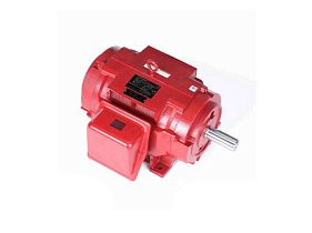 Marathon Electric U506