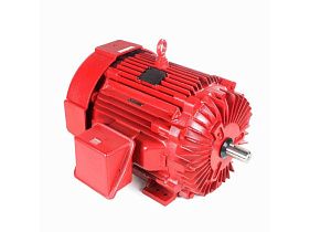 Marathon Electric 324TSTFPA14010