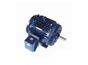 Marathon Electric 324TTTS16535