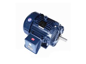 Marathon Electric 365TTFS9230