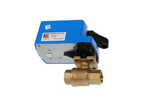 Johnson Controls VG1241AE+9T4GGA