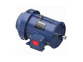 Marathon Electric GT1205A