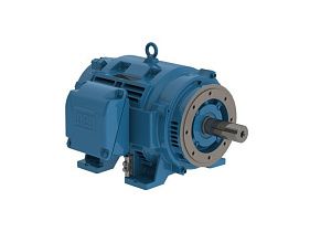 WEG Electric 15018OT3G444TC-W40