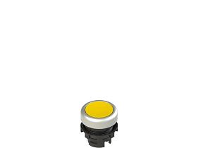 Pizzato E2 1PL2R5290