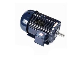 Marathon Electric 256TTFL16038