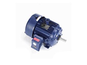 Marathon Electric 254TTFNA16568