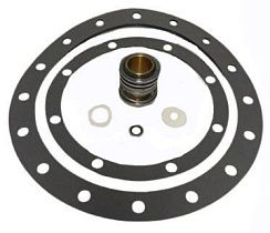 7307-0005 Набор для ремонта насоса от THRUSH