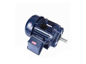 Marathon Electric L425A