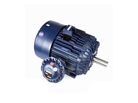 Marathon Electric 445TTGN16588