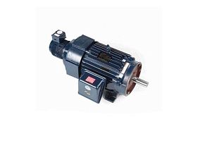 Marathon Electric 324THFPA8038