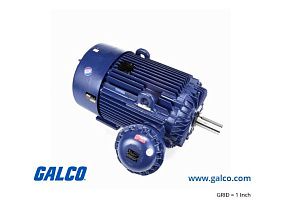 Marathon Electric E591