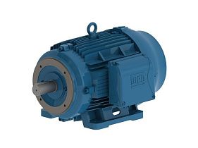 WEG Electric 05018ET3H326TSCF2-W2