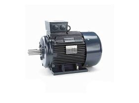 Marathon Electric R344A