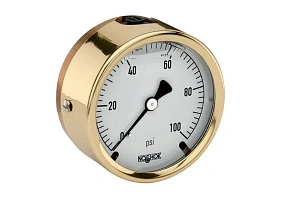 NOSHOK 25-310-SST-6000-psi