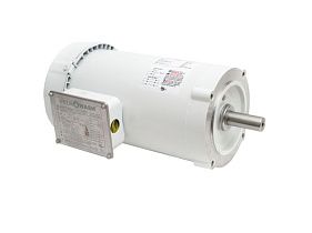 WEG Electric 1111006411