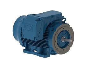 WEG Electric 15018ET3G445TC-W22G