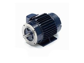 Marathon Electric 145THTN8029